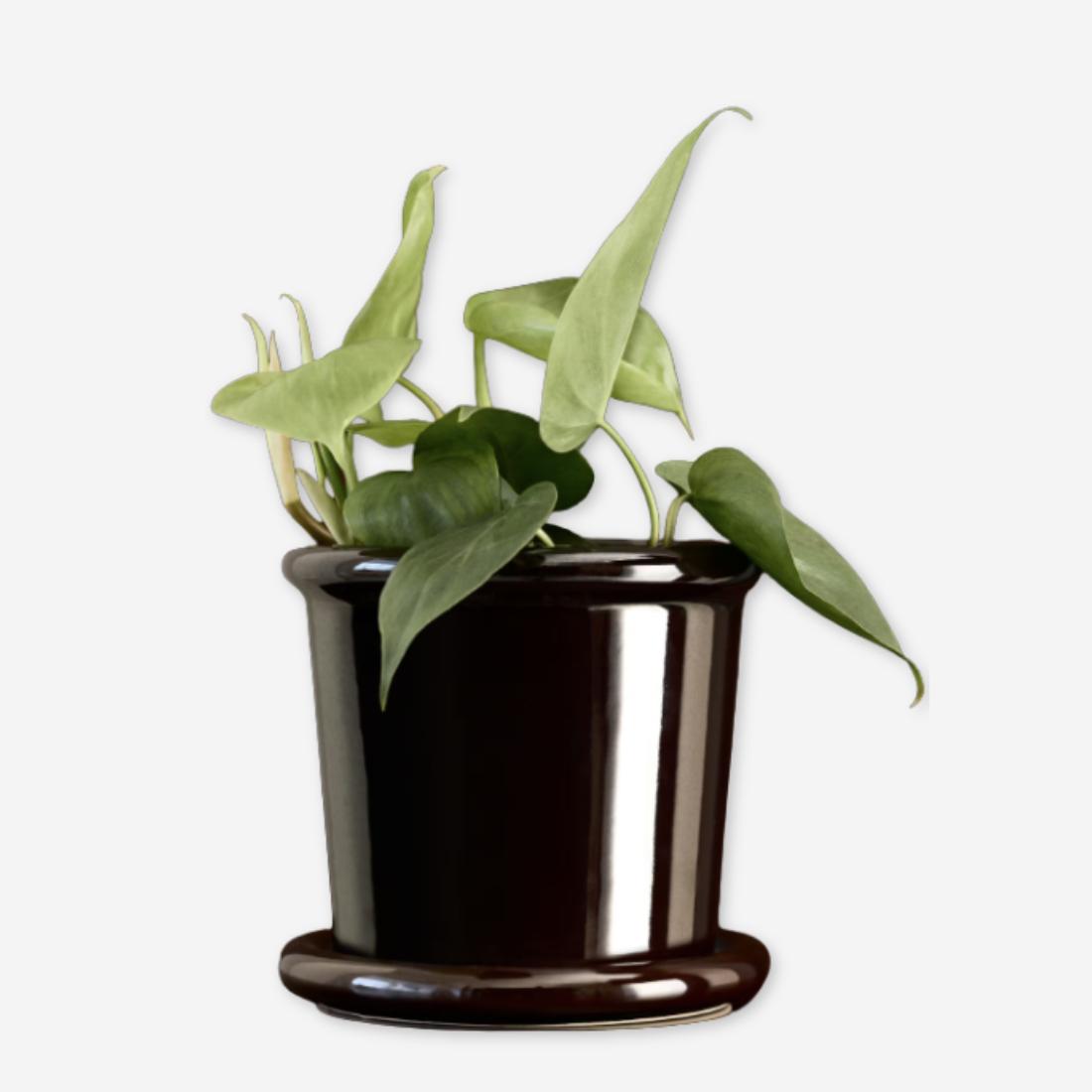 H&M | Vase