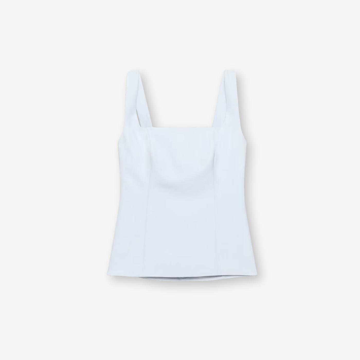 Aritzia Top