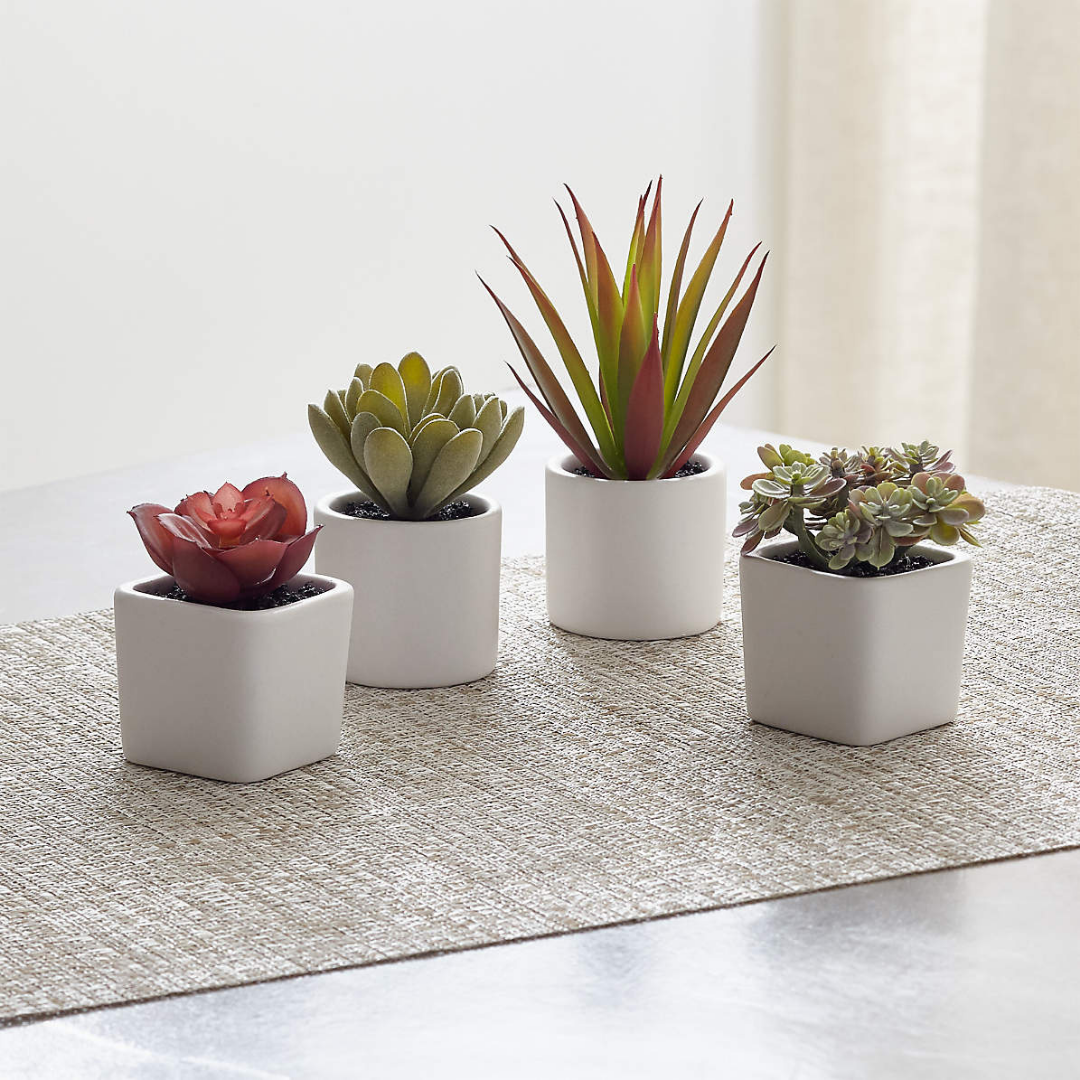 Four small faux succulents