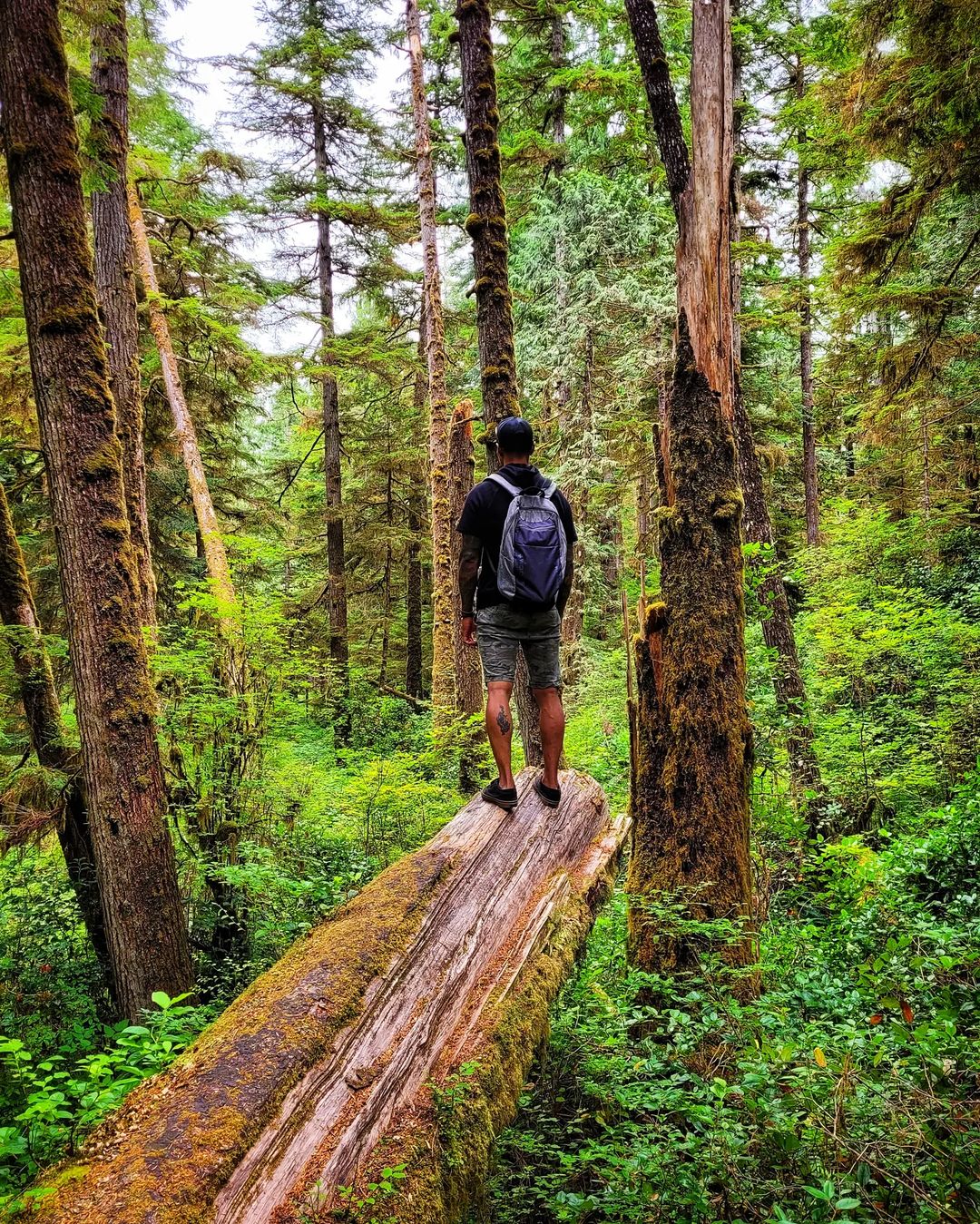 Erickson Segura standing on a log in the woods