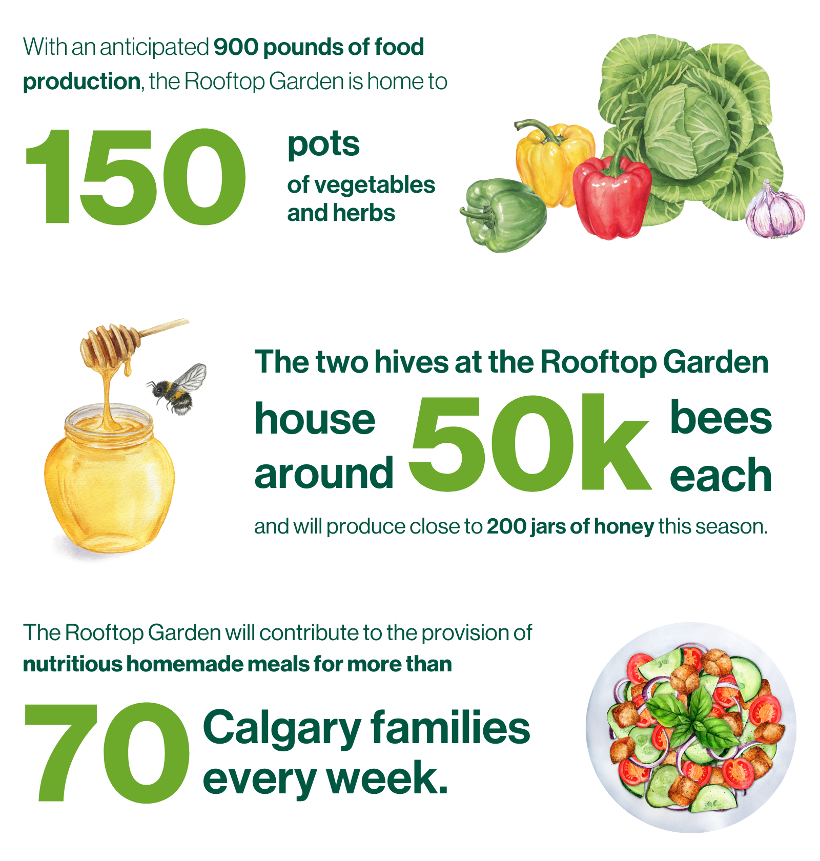 With an anticipated 900 pounds of food production, the Rooftop Garden is home to 150 pots of vegetables and herbs. The two hives at the Rooftop Garden house around 50,000 bees each and will product close to 200 jars of honey this season. The Rooftop Garden will contribute to the provision of nutritious homemade meals for more than 70 Calgary families every week.