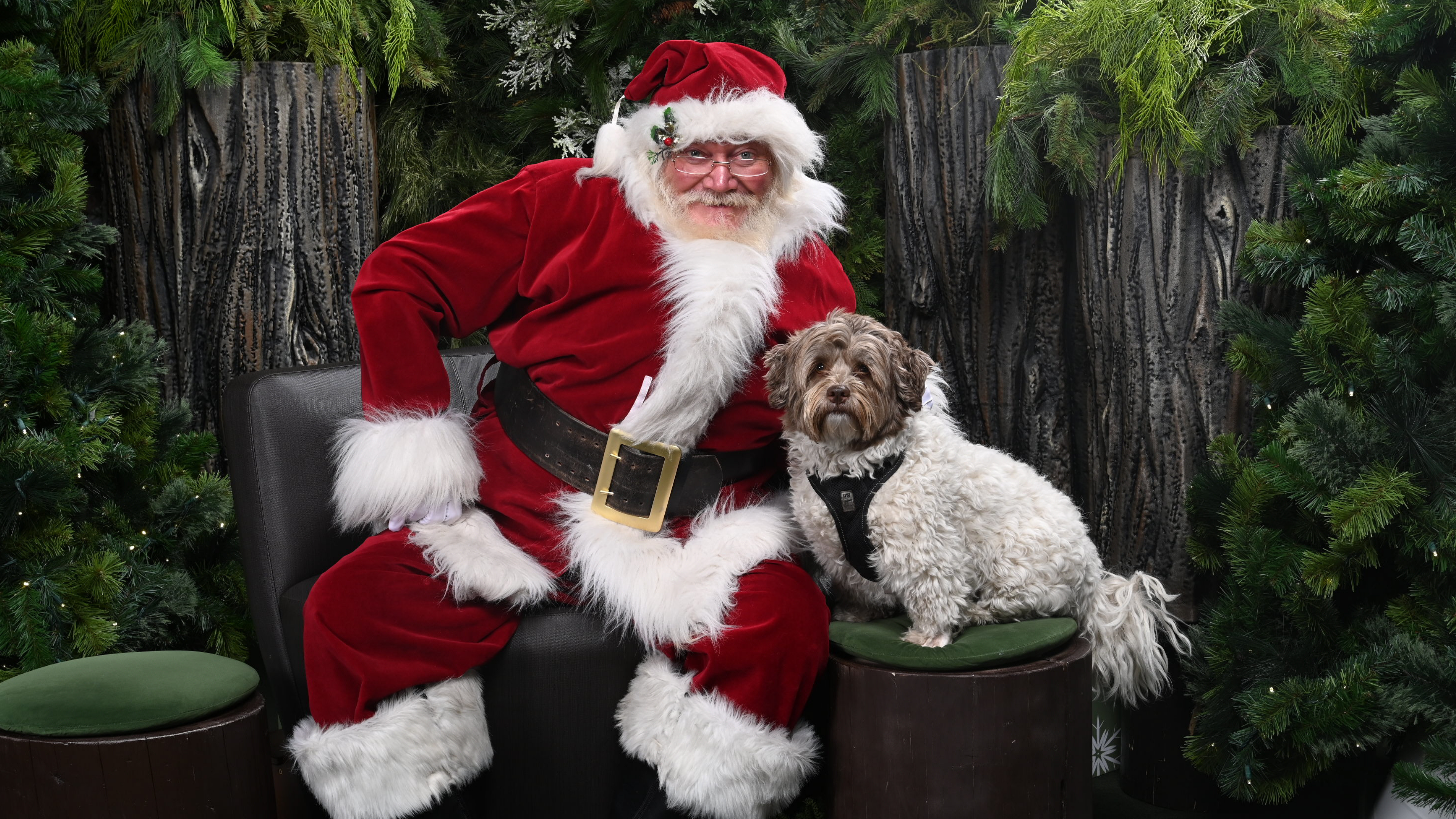 Paws with Claus Santa photo with a dog